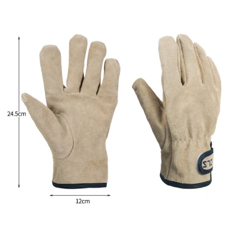 CLS Outdoor Cookout Barbecue Guanti protettivi in pelle bovina resistenti al calore