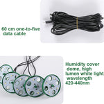 5 set di vassoi per semi di piante, vassoio per piantine con luce crescente, Black, Green