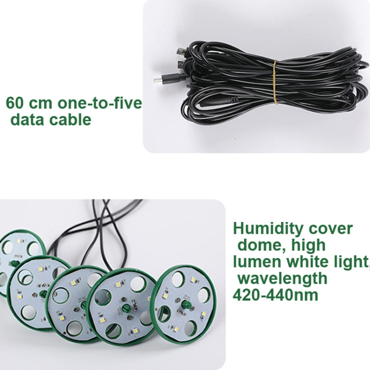 5 set di vassoi per semi di piante, vassoio per piantine con luce crescente, Black, Green