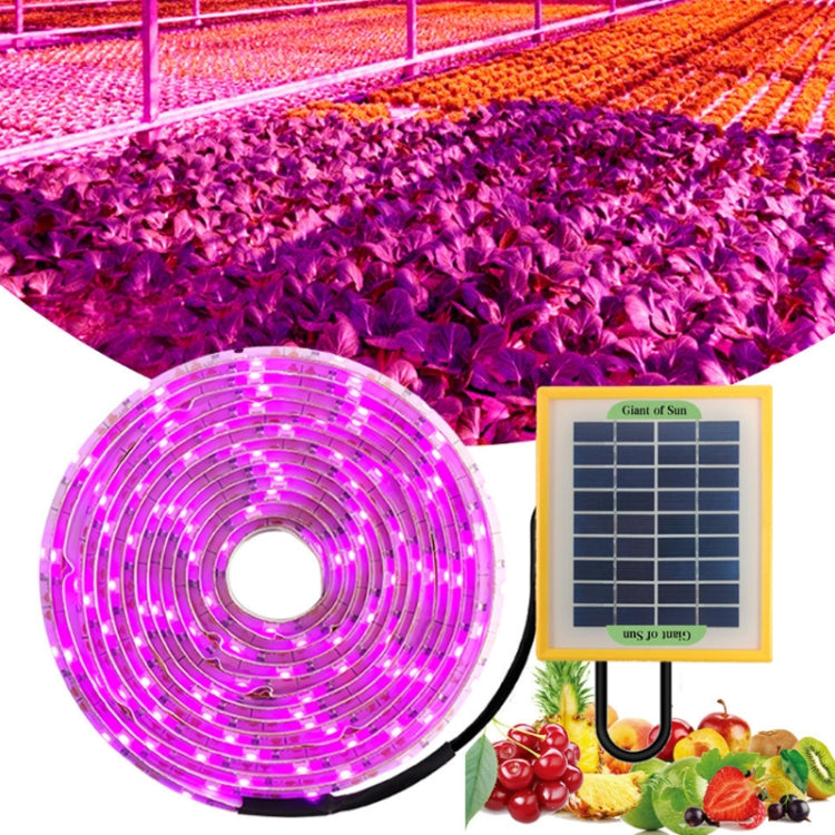 Lampada LED a spettro completo 20W per coltivazione piante
