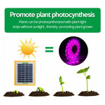 La luce di riempimento della pianta a spettro completo LED coltiva la luce