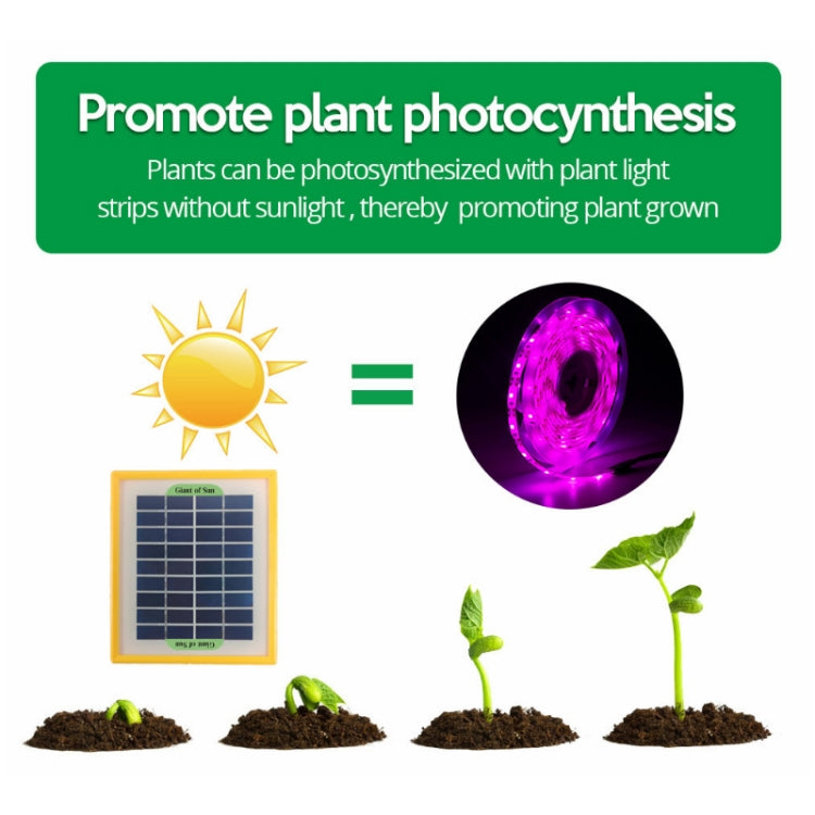 La luce di riempimento della pianta a spettro completo LED coltiva la luce
