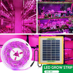 La luce di riempimento della pianta a spettro completo LED coltiva la luce