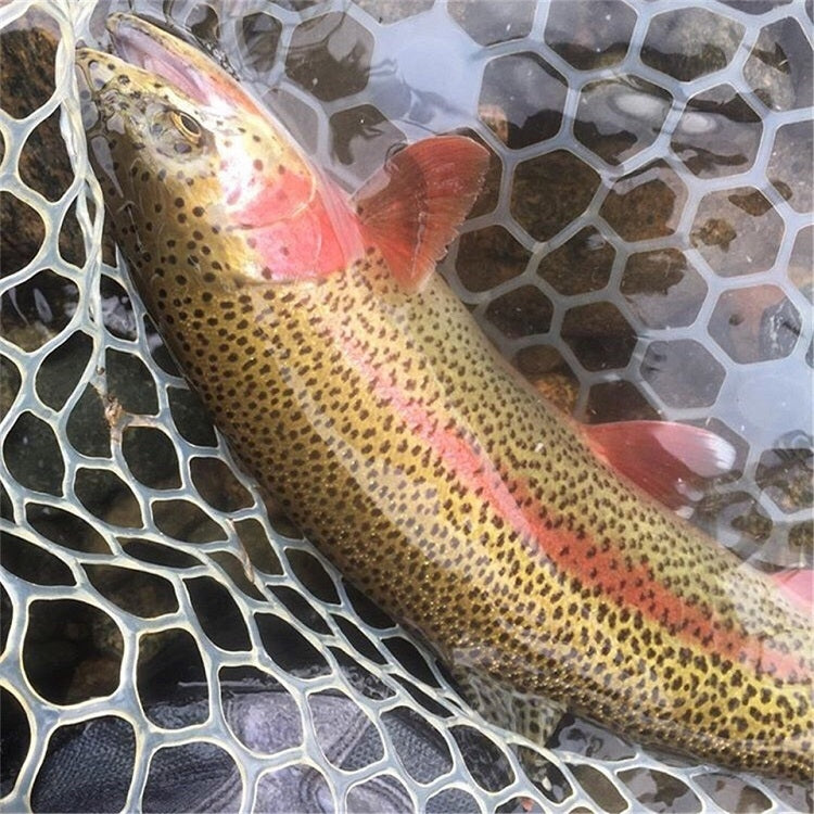 Borsa di ricambio per rete da pesca in gomma morbida trasparente da 5 pezzi, dimensioni:, Large 120cm, Medium 100cm
