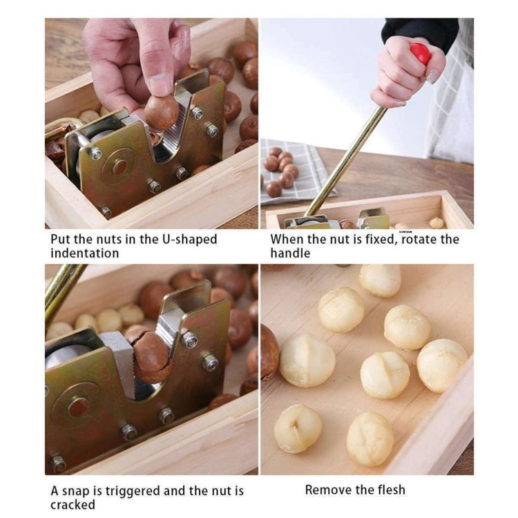 Apri frutta Noce Noce Macadamia Apri, Walnut Opener