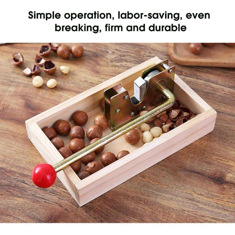 Apri frutta Noce Noce Macadamia Apri, Walnut Opener