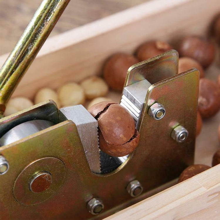 Apri frutta Noce Noce Macadamia Apri, Walnut Opener