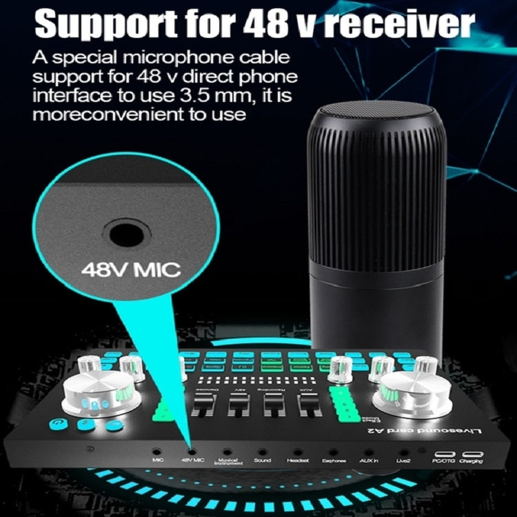 Scheda audio USB A2 per registrazione live universale