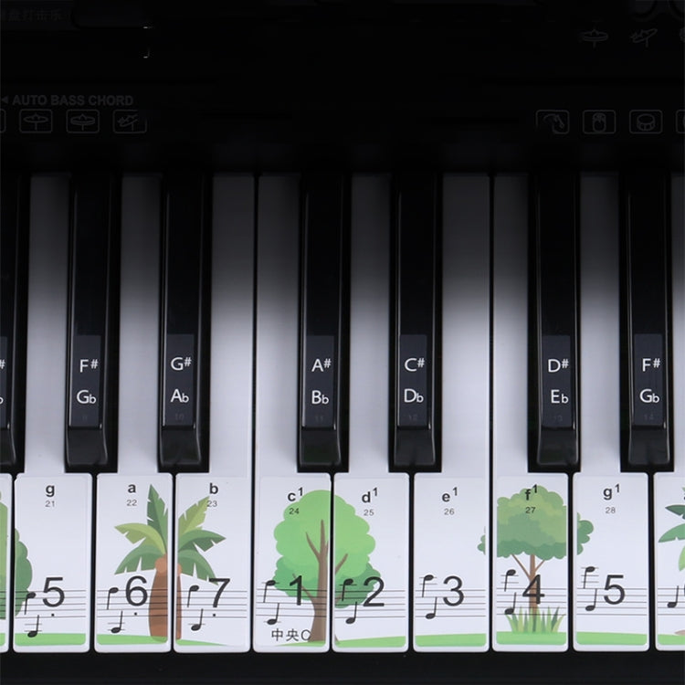 Adesivi tastiera pianoforte M52 per 49-88 tasti