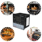 Relè controllo temperatura PID SINOTIMER MC901 100-240V