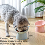 Ciotola per alimenti per bocca inclinata cervicale con protezione alta per animali domestici Ciotola per gatti in plastica antiribaltamento, Blue, Pink, Gray
