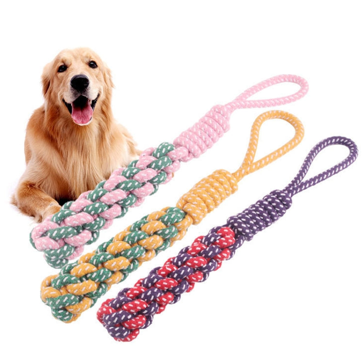 Corda di cotone molare per cani 3 pezzi colore casuale