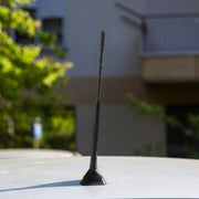 Antenna DAB FM sul tetto Antenna per trasmissione digitale per autoradio, Roof DAB FM Antenna