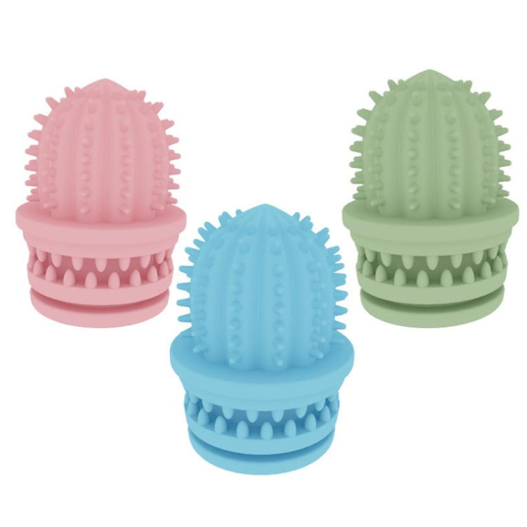 2 PCS Pet Pulizia Denti TPR Cactus Giocattoli educativi leggeri resistenti al morso, Cactus Light Blue, Cactus Light Pink, Cactus Avocado Green
