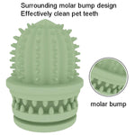 2 PCS Pet Pulizia Denti TPR Cactus Giocattoli educativi leggeri resistenti al morso, Cactus Light Blue, Cactus Light Pink, Cactus Avocado Green