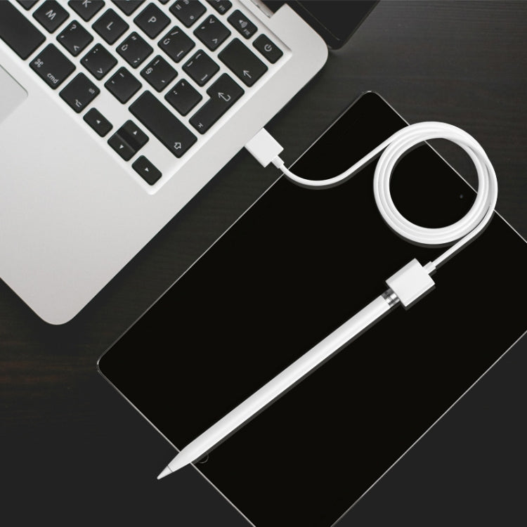 Cavo ricarica 1 m per Apple Pencil 1 USB 8 pin