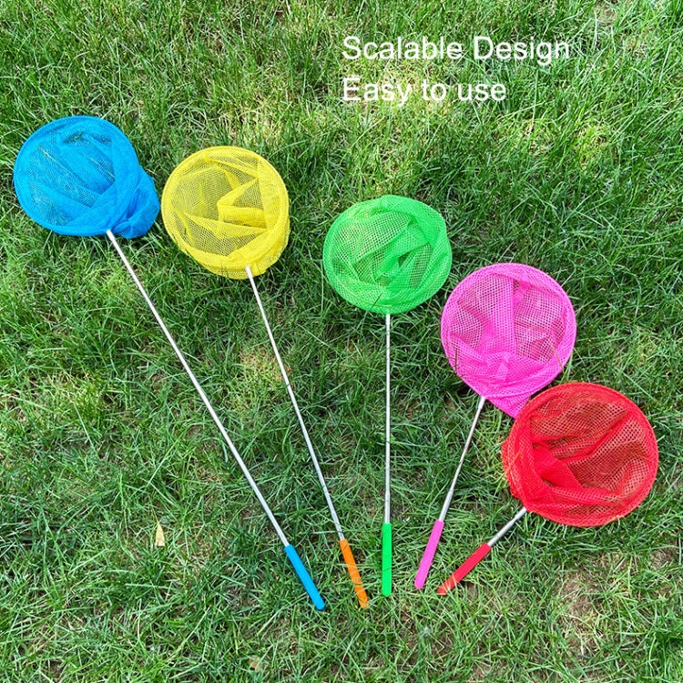 Rete telescopica per bambini in acciaio inossidabile da 10 pezzi che cattura pesci e insetti, Color Random Delivery