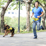 Lovoyager Pet Training Marsupio Outdoor Walking Dog Snack Pocket, Lovoyager Yellow, Lovoyager Orange, Lovoyager Blue