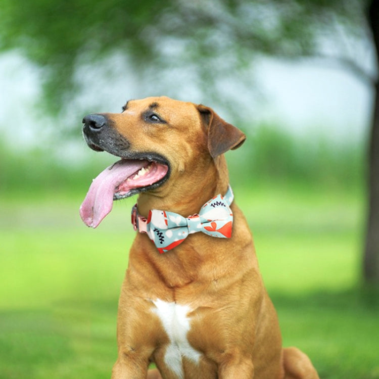 Collare con fiocco staccabile per animali domestici