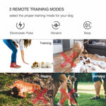Collare di arresto automatico dell'abbaiare con addestratore di cani con telecomando intelligente, Collar Black, Collar White