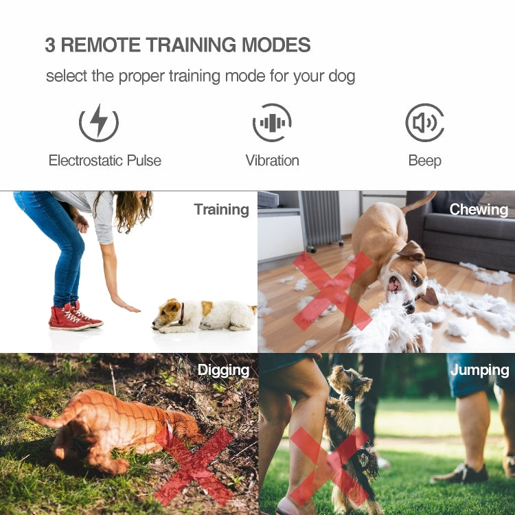 Collare di arresto automatico dell'abbaiare con addestratore di cani con telecomando intelligente, Collar Black, Collar White