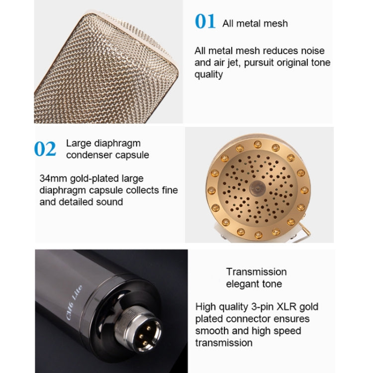 Alctron CM6 Lite Large Diaphragm Condenser Microphone, Desktop Microphone for Recording Computer