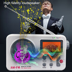 Radio portatile retrò SY-8801 con schermo LCD HD