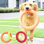 Giocattoli per cani Animali domestici Anello di tensione Giocattoli per la pulizia dei denti, Green Small, Green Large, Red Small, Red Large, Orange Small, Orange Large