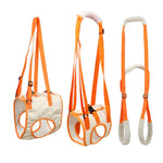 Cintura di assistenza al guinzaglio per animali domestici per cani anziani disabili postoperatori, Simple, Hind Legs S, Hind Legs M, Hind Legs L, Hind Legs XL, Front Legs S, Front Legs M, Front Legs L