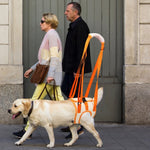 Cintura di assistenza al guinzaglio per animali domestici per cani anziani disabili postoperatori, Simple, Hind Legs S, Hind Legs M, Hind Legs L, Hind Legs XL, Front Legs S, Front Legs M, Front Legs L