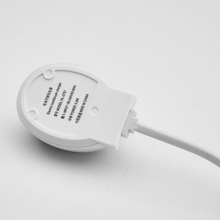 3757 Base di ricarica per spazzolino elettrico per Braun Oral B, 220V US Plug, USB Plug