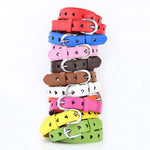 Dandali DC141 Cintura da donna con ritaglio di cintura, DC141 Red, DC141 Yellow, DC141 Green, DC141 Blue, DC141 White, DC141 Camel, DC141 Orange, DC141 Pink, DC141 Rose Red, DC141 Brown