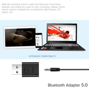 Ricevitore audio Bluetooth 5.0 2 in 1 MSD118