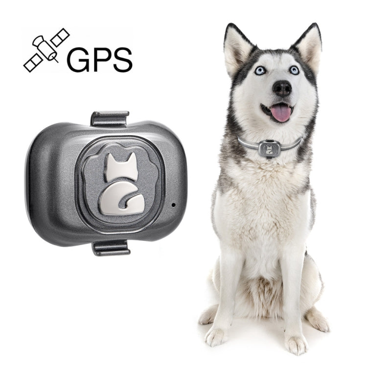 G16 Localizzatore GPS per animali domestici IP67 Collare intelligente impermeabile Monitoraggio anti-smarrimento per cane gatto, G16 Pets GPS
