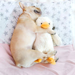 Hoopet Dog Mordere Giocattolo Animale Domestico Peluche Anatroccolo Giocattolo Sonoro, Small, Large