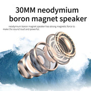DANYIN BH69 Auricolare Bluetooth unilaterale Business Talk Servizio clienti Wireless Voice Wheat, BH69 Black
