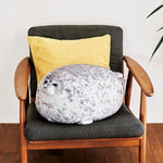 Seal Pillow Acquario peluche, 20cm, 30cm, 40cm, 60cm