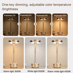 Lampada da scrivania ricaricabile Lampada da scrivania rimovibile Atmosfera da bar Luce notturna, Gold, Silver, Black