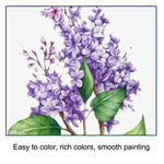 Set di matite colorate per schizzi Kit da disegno per studenti d'arte, 51pcs/set, 70pcs/set, 71pcs/set, 96pcs/set