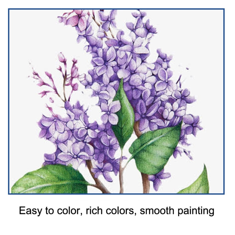 Set di matite colorate per schizzi Kit da disegno per studenti d'arte, 51pcs/set, 70pcs/set, 71pcs/set, 96pcs/set