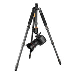 Qing zhuangshi DA IQ666 treppiede portatile in lega di alluminio per fotocamera SLR da viaggio, Q666(Black)