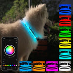 Collare per illuminazione per animali domestici ricaricabile resistente all'usura e impermeabile a LED, dimensioni:, XS, S, M, L
