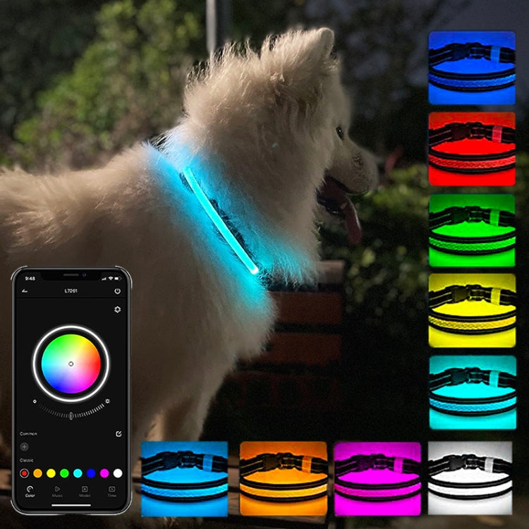 Collare per illuminazione per animali domestici ricaricabile resistente all'usura e impermeabile a LED, dimensioni:, XS, S, M, L