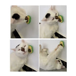2 palline di erba gatta e avocado che stuzzicano il giocattolo per la pulizia dei denti di gatto, Mint Ball, Gall Fruit