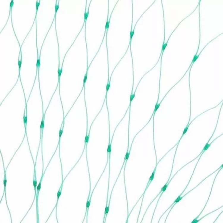 Rete di protezione anti-uccelli Rete per piante da giardino per proteggere piante e frutta, 2Mx10M, 4Mx5M, 4Mx10M, 4Mx12M, 5Mx10M, 5Mx20M, 4Mx15M