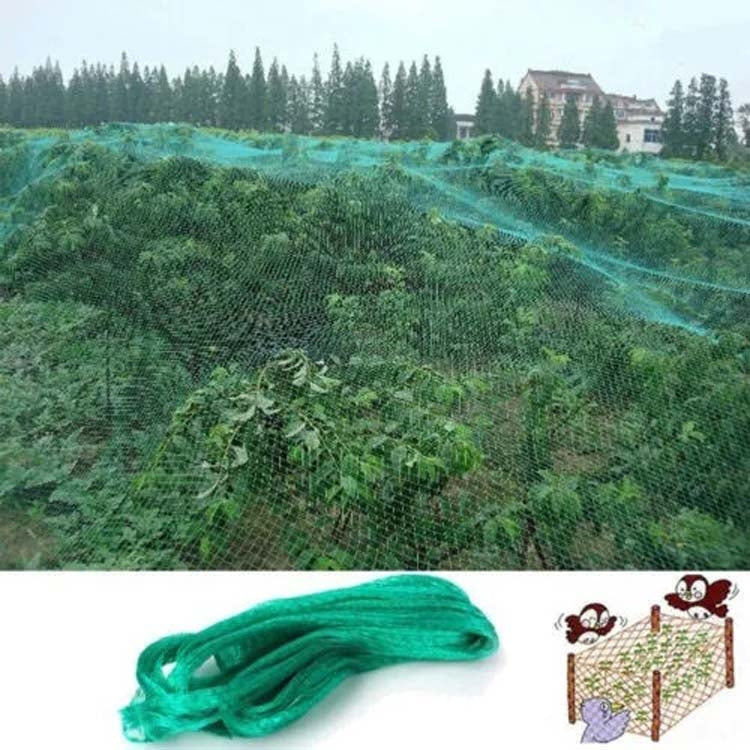 Rete di protezione anti-uccelli Rete per piante da giardino per proteggere piante e frutta, 2Mx10M, 4Mx5M, 4Mx10M, 4Mx12M, 5Mx10M, 5Mx20M, 4Mx15M