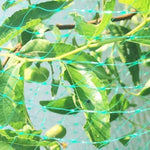 Rete di protezione anti-uccelli Rete per piante da giardino per proteggere piante e frutta, 2Mx10M, 4Mx5M, 4Mx10M, 4Mx12M, 5Mx10M, 5Mx20M, 4Mx15M