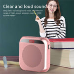 S17 Mini Altoparlante Didattico Portatile 20h batteria