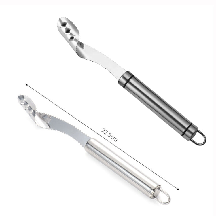 10 coltelli per chicchi di frutta con decapatore di semi di pepe in acciaio inossidabile, Round Handle, Diplonema Handle