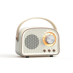 Altoparlante Bluetooth Vintage DW21 con TF e U Disk